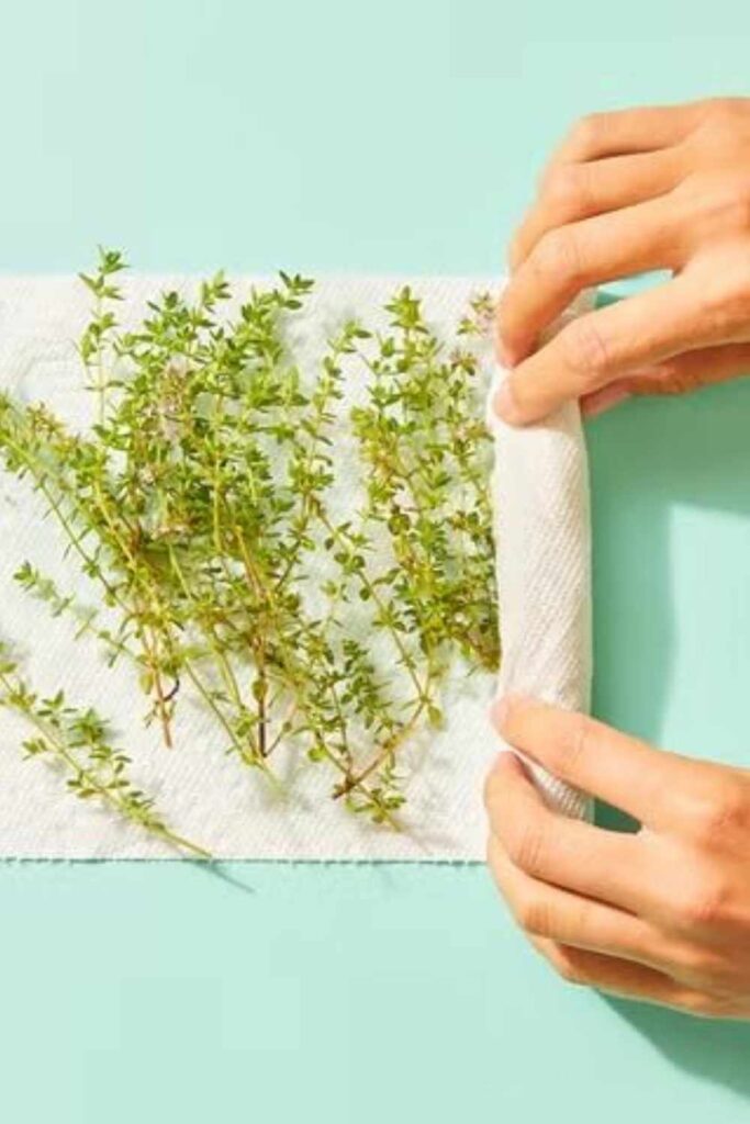 35 Kitchen Hacks & Cooking Tips That Actually Change How You Cook 2026 5 Use a Wet Paper Towel to Keep Herbs Fresh for 2+ Weeks